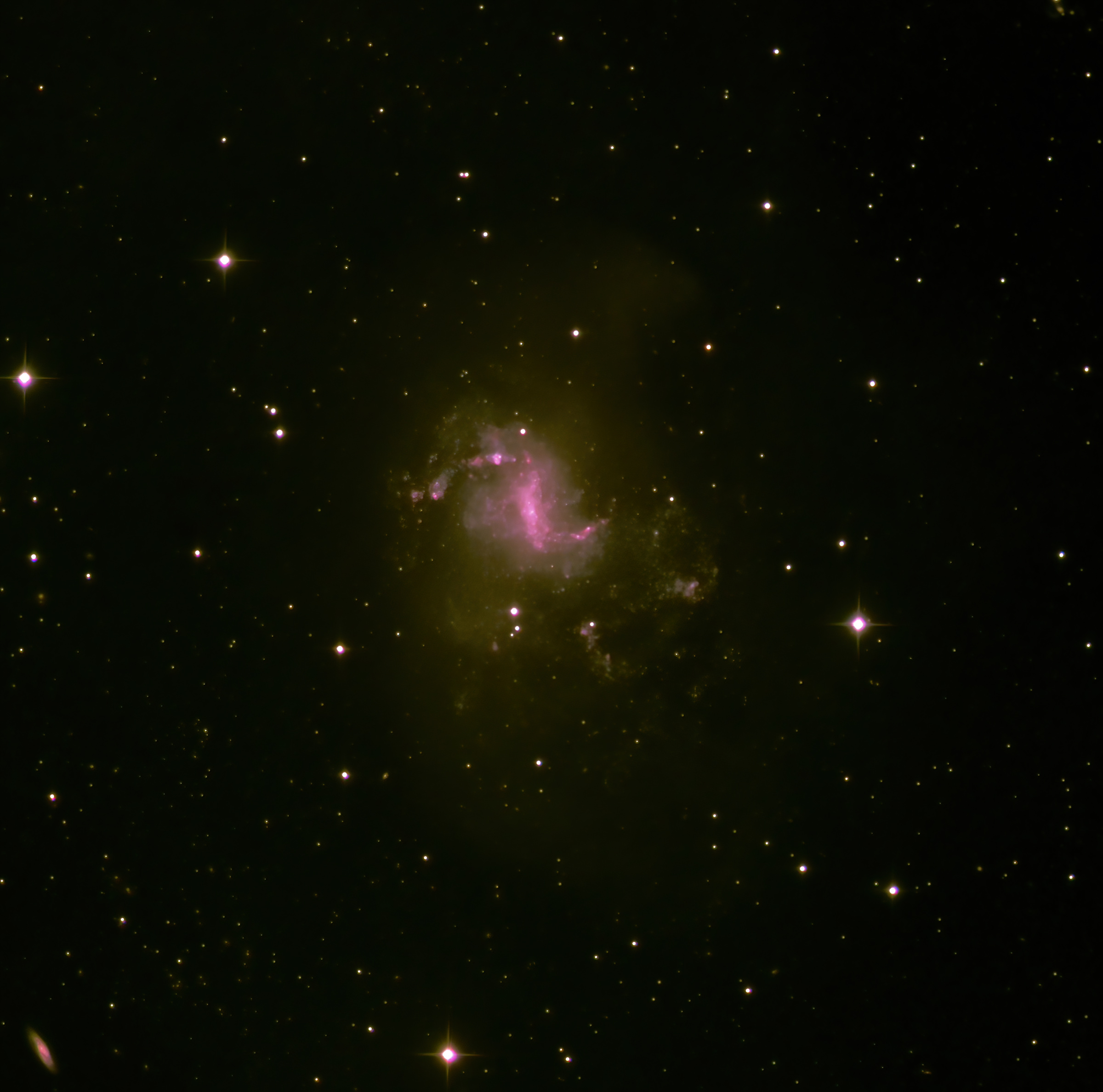 NGC 1313 Telescope Live